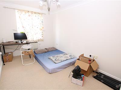 Picture 5